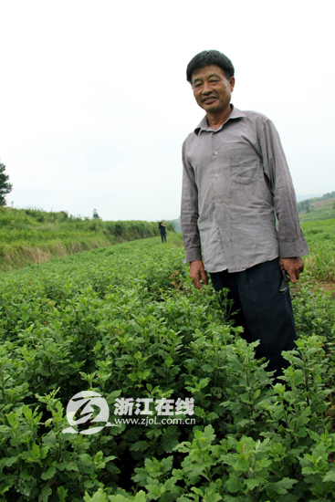 新昌回山镇高湾村村民的生活样本调查